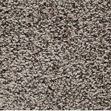 Mohawk CarpetSoft Appeal II